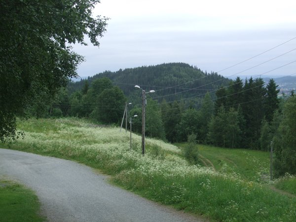 Kastbrekkåsen sett fra Tømmerholt. Foto: Jan Habberstad