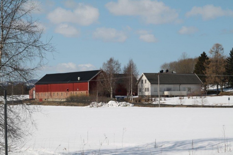 Gisvoll i april 2013. Foto: Jan Habberstad