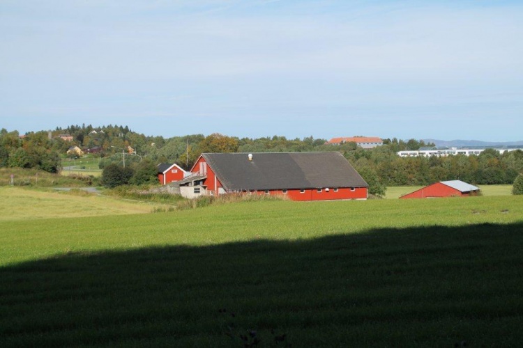 Dalset i september 2013. Foto: Jan Habberstad